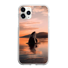 Чехол для iPhone 11 Pro матовый с принтом касатки на закате в Петрозаводске, Силикон |  | ocean | orca | sea | sea animal | дельфин | закат | касатка | кит | море | океан | рисунок кита