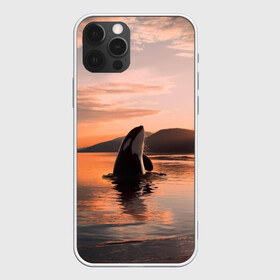 Чехол для iPhone 12 Pro Max с принтом касатки на закате в Петрозаводске, Силикон |  | ocean | orca | sea | sea animal | дельфин | закат | касатка | кит | море | океан | рисунок кита
