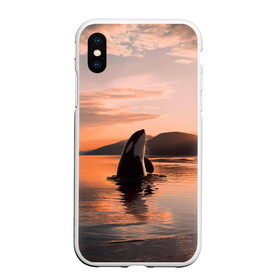 Чехол для iPhone XS Max матовый с принтом касатки на закате в Петрозаводске, Силикон | Область печати: задняя сторона чехла, без боковых панелей | ocean | orca | sea | sea animal | дельфин | закат | касатка | кит | море | океан | рисунок кита
