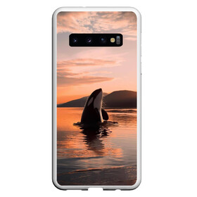 Чехол для Samsung Galaxy S10 с принтом касатки на закате в Петрозаводске, Силикон | Область печати: задняя сторона чехла, без боковых панелей | ocean | orca | sea | sea animal | дельфин | закат | касатка | кит | море | океан | рисунок кита