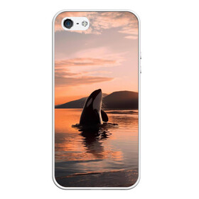 Чехол для iPhone 5/5S матовый с принтом касатки на закате в Петрозаводске, Силикон | Область печати: задняя сторона чехла, без боковых панелей | Тематика изображения на принте: ocean | orca | sea | sea animal | дельфин | закат | касатка | кит | море | океан | рисунок кита