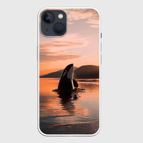 Чехол для iPhone 13 с принтом касатки на закате в Петрозаводске,  |  | ocean | orca | sea | sea animal | дельфин | закат | касатка | кит | море | океан | рисунок кита
