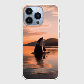 Чехол для iPhone 13 Pro с принтом касатки на закате в Петрозаводске,  |  | ocean | orca | sea | sea animal | дельфин | закат | касатка | кит | море | океан | рисунок кита