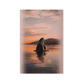 Обложка для паспорта матовая кожа с принтом касатки на закате в Петрозаводске, натуральная матовая кожа | размер 19,3 х 13,7 см; прозрачные пластиковые крепления | ocean | orca | sea | sea animal | дельфин | закат | касатка | кит | море | океан | рисунок кита
