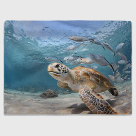 Плед 3D с принтом Морская черепаха в Петрозаводске, 100% полиэстер | закругленные углы, все края обработаны. Ткань не мнется и не растягивается | море | морская | океан | подводный мир | рыбы | черепаха