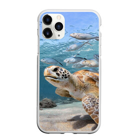 Чехол для iPhone 11 Pro матовый с принтом Морская черепаха в Петрозаводске, Силикон |  | Тематика изображения на принте: море | морская | океан | подводный мир | рыбы | черепаха