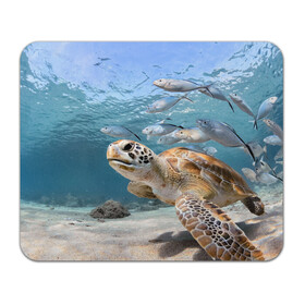 Коврик для мышки прямоугольный с принтом Морская черепаха в Петрозаводске, натуральный каучук | размер 230 х 185 мм; запечатка лицевой стороны | море | морская | океан | подводный мир | рыбы | черепаха