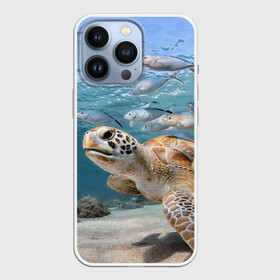 Чехол для iPhone 13 Pro с принтом Морская черепаха в Петрозаводске,  |  | море | морская | океан | подводный мир | рыбы | черепаха