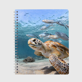 Тетрадь с принтом Морская черепаха в Петрозаводске, 100% бумага | 48 листов, плотность листов — 60 г/м2, плотность картонной обложки — 250 г/м2. Листы скреплены сбоку удобной пружинной спиралью. Уголки страниц и обложки скругленные. Цвет линий — светло-серый
 | Тематика изображения на принте: море | морская | океан | подводный мир | рыбы | черепаха