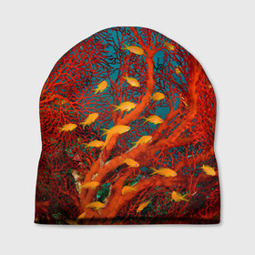 Шапка 3D с принтом Коралловые рыбки в Петрозаводске, 100% полиэстер | универсальный размер, печать по всей поверхности изделия | коралловые | море | океан | подводный мир | рифы | рыбки | рыбы