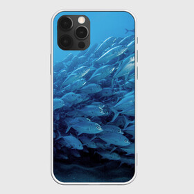 Чехол для iPhone 12 Pro Max с принтом Морские рыбы в Петрозаводске, Силикон |  | косяк | море | океан | подводный мир | рыбки | рыбы