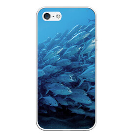 Чехол для iPhone 5/5S матовый с принтом Морские рыбы в Петрозаводске, Силикон | Область печати: задняя сторона чехла, без боковых панелей | косяк | море | океан | подводный мир | рыбки | рыбы