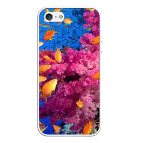 Чехол для iPhone 5/5S матовый с принтом Коралловые рыбки в Петрозаводске, Силикон | Область печати: задняя сторона чехла, без боковых панелей | коралловые | море | океан | подводный мир | рифы | рыбки | рыбы