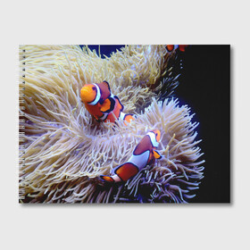 Альбом для рисования с принтом Клоуны в актинии в Петрозаводске, 100% бумага
 | матовая бумага, плотность 200 мг. | актиния | клоуны | коралловые | море | подводный мир | рыбки