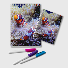 Блокнот с принтом Клоуны в актинии в Петрозаводске, 100% бумага | 48 листов, плотность листов — 60 г/м2, плотность картонной обложки — 250 г/м2. Листы скреплены удобной пружинной спиралью. Цвет линий — светло-серый
 | Тематика изображения на принте: актиния | клоуны | коралловые | море | подводный мир | рыбки