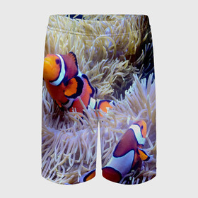 Детские спортивные шорты 3D с принтом Клоуны в актинии в Петрозаводске,  100% полиэстер
 | пояс оформлен широкой мягкой резинкой, ткань тянется
 | актиния | клоуны | коралловые | море | подводный мир | рыбки