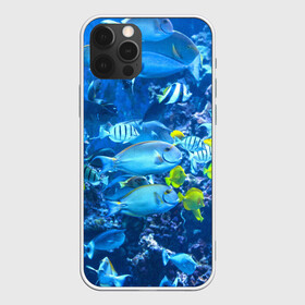 Чехол для iPhone 12 Pro Max с принтом Коралловые рыбки в Петрозаводске, Силикон |  | коралловые | море | подводный мир | рыбки