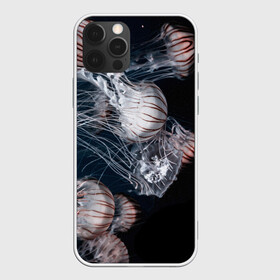 Чехол для iPhone 12 Pro Max с принтом Медузы в Петрозаводске, Силикон |  | глубина | медузы | море | морские обитатели | океан | подводный мир