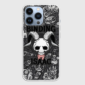 Чехол для iPhone 13 Pro с принтом Воронка Исаака в Петрозаводске,  |  | binding | game | games | hell | isaac | the binding of isaac | ад | жертвоприношение исаака | игра | игры | исаак