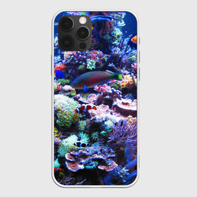 Чехол для iPhone 12 Pro Max с принтом Коралловые рыбки в Петрозаводске, Силикон |  | коралловые | кораллы | море | морские обитатели | океан | подводный мир | рыбки