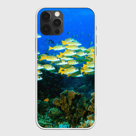 Чехол для iPhone 12 Pro Max с принтом Коралловые рыбки в Петрозаводске, Силикон |  | коралловые | кораллы | море | морские обитатели | океан | подводный мир | рыбки