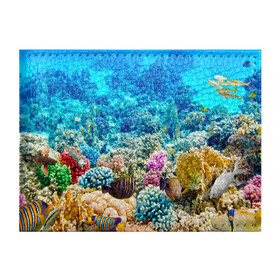 Обложка для студенческого билета с принтом Риф в Петрозаводске, натуральная кожа | Размер: 11*8 см; Печать на всей внешней стороне | Тематика изображения на принте: коралловый риф | полосатые рыбы | риф | рыбы | сказочный риф