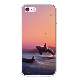 Чехол для iPhone 5/5S матовый с принтом касатки в Петрозаводске, Силикон | Область печати: задняя сторона чехла, без боковых панелей | ocean | orca | sea | sea animal | дельфин | закат | касатка | кит | море | океан | рисунок кита