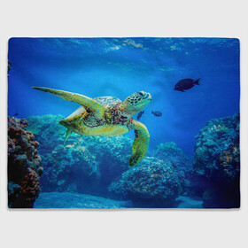 Плед 3D с принтом Морская черепаха в Петрозаводске, 100% полиэстер | закругленные углы, все края обработаны. Ткань не мнется и не растягивается | Тематика изображения на принте: морская черепаха | океан | подводный мир | черепаха
