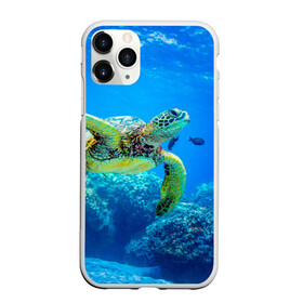 Чехол для iPhone 11 Pro матовый с принтом Морская черепаха в Петрозаводске, Силикон |  | Тематика изображения на принте: морская черепаха | океан | подводный мир | черепаха