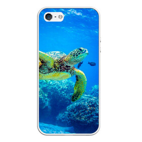 Чехол для iPhone 5/5S матовый с принтом Морская черепаха в Петрозаводске, Силикон | Область печати: задняя сторона чехла, без боковых панелей | Тематика изображения на принте: морская черепаха | океан | подводный мир | черепаха