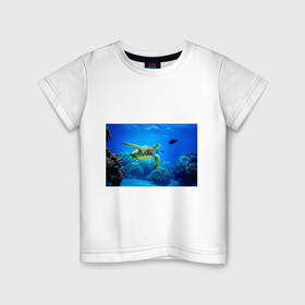 Детская футболка хлопок с принтом Морская черепаха в Петрозаводске, 100% хлопок | круглый вырез горловины, полуприлегающий силуэт, длина до линии бедер | Тематика изображения на принте: морская черепаха | океан | подводный мир | черепаха