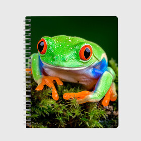 Тетрадь с принтом Тропическая лягушка в Петрозаводске, 100% бумага | 48 листов, плотность листов — 60 г/м2, плотность картонной обложки — 250 г/м2. Листы скреплены сбоку удобной пружинной спиралью. Уголки страниц и обложки скругленные. Цвет линий — светло-серый
 | Тематика изображения на принте: зеленая лягушка | лягушка | тропики