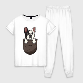Женская пижама хлопок с принтом Карманный пёс в Петрозаводске, 100% хлопок | брюки и футболка прямого кроя, без карманов, на брюках мягкая резинка на поясе и по низу штанин | Тематика изображения на принте: бульдог | дог | карман | пес | собака