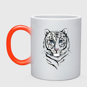 Кружка хамелеон с принтом Белый тигр в Петрозаводске, керамика | меняет цвет при нагревании, емкость 330 мл | альфа | белый | дикие | дикий | животные | звери | зверь | кот | котик | крутой | полоски | принт | природа | самец | тигр | тигриныйкрасивый