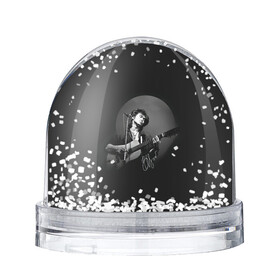 Игрушка Снежный шар с принтом Цой на концерте в Петрозаводске, Пластик | Изображение внутри шара печатается на глянцевой фотобумаге с двух сторон | kino | rock | кино | музыкант | рок | русский рок | сой | тцой | цой
