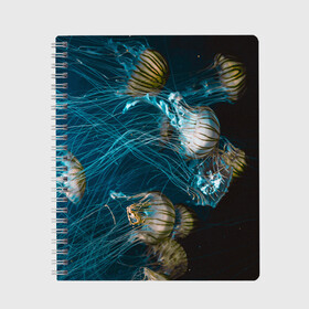 Тетрадь с принтом Медузы в Петрозаводске, 100% бумага | 48 листов, плотность листов — 60 г/м2, плотность картонной обложки — 250 г/м2. Листы скреплены сбоку удобной пружинной спиралью. Уголки страниц и обложки скругленные. Цвет линий — светло-серый
 | medusa | животные | медузы | мир | подводный | рыбы | щупальца