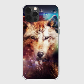Чехол для iPhone 12 Pro с принтом Красивый волк в Петрозаводске, силикон | область печати: задняя сторона чехла, без боковых панелей | wolf | ауф | волк | животные | зверобой | зверь | красивый