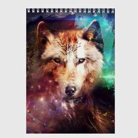 Скетчбук с принтом Красивый волк в Петрозаводске, 100% бумага
 | 48 листов, плотность листов — 100 г/м2, плотность картонной обложки — 250 г/м2. Листы скреплены сверху удобной пружинной спиралью | wolf | ауф | волк | животные | зверобой | зверь | красивый