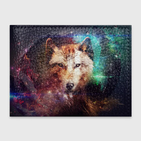 Обложка для студенческого билета с принтом Красивый волк в Петрозаводске, натуральная кожа | Размер: 11*8 см; Печать на всей внешней стороне | wolf | ауф | волк | животные | зверобой | зверь | красивый
