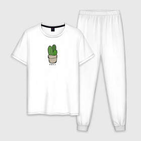 Мужская пижама хлопок с принтом Кактус в Петрозаводске, 100% хлопок | брюки и футболка прямого кроя, без карманов, на брюках мягкая резинка на поясе и по низу штанин
 | иероглифы | кактус | надпись на японском | природа | растение | цветок