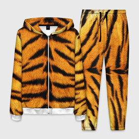 Мужской костюм 3D с принтом Шкура Тигра в Петрозаводске, 100% полиэстер | Манжеты и пояс оформлены тканевой резинкой, двухслойный капюшон со шнурком для регулировки, карманы спереди | skin | tiger | wool | тигр