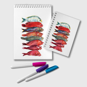 Блокнот с принтом рыбки в Петрозаводске, 100% бумага | 48 листов, плотность листов — 60 г/м2, плотность картонной обложки — 250 г/м2. Листы скреплены удобной пружинной спиралью. Цвет линий — светло-серый
 | Тематика изображения на принте: ocean | sea | sea animal | графика | лосось | море | океан | рисунок рыбы | рыба | рыбалка | форель