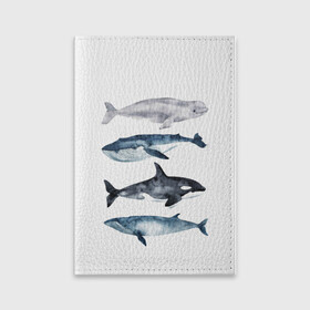 Обложка для паспорта матовая кожа с принтом киты в Петрозаводске, натуральная матовая кожа | размер 19,3 х 13,7 см; прозрачные пластиковые крепления | Тематика изображения на принте: ocean | orca | sea | sea animal | whale | белуха | дельфин | касатка | кит | море | океан | рисунок кита | синий кит