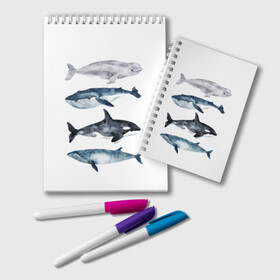 Блокнот с принтом киты в Петрозаводске, 100% бумага | 48 листов, плотность листов — 60 г/м2, плотность картонной обложки — 250 г/м2. Листы скреплены удобной пружинной спиралью. Цвет линий — светло-серый
 | Тематика изображения на принте: ocean | orca | sea | sea animal | whale | белуха | дельфин | касатка | кит | море | океан | рисунок кита | синий кит