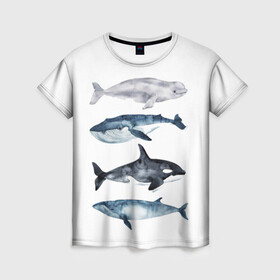 Женская футболка 3D с принтом киты в Петрозаводске, 100% полиэфир ( синтетическое хлопкоподобное полотно) | прямой крой, круглый вырез горловины, длина до линии бедер | ocean | orca | sea | sea animal | whale | белуха | дельфин | касатка | кит | море | океан | рисунок кита | синий кит