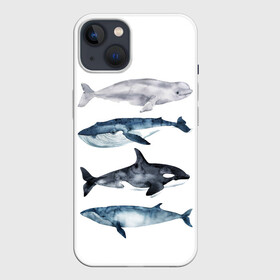 Чехол для iPhone 13 с принтом киты в Петрозаводске,  |  | ocean | orca | sea | sea animal | whale | белуха | дельфин | касатка | кит | море | океан | рисунок кита | синий кит