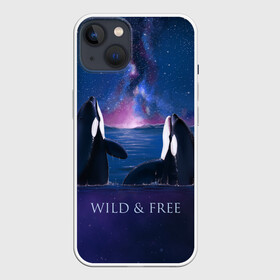 Чехол для iPhone 13 с принтом косатка в Петрозаводске,  |  | ocean | orca | sea | sea animal | дельфин | касатка | кит | море | океан | рисунок кита