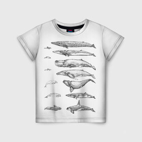 Детская футболка 3D с принтом киты графика в Петрозаводске, 100% гипоаллергенный полиэфир | прямой крой, круглый вырез горловины, длина до линии бедер, чуть спущенное плечо, ткань немного тянется | Тематика изображения на принте: ocean | orca | sea | sea animal | whale | графика | дельфин | касатка | кит | море | океан | плакат | рисунок кита