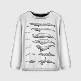 Детский лонгслив 3D с принтом киты графика в Петрозаводске, 100% полиэстер | длинные рукава, круглый вырез горловины, полуприлегающий силуэт
 | ocean | orca | sea | sea animal | whale | графика | дельфин | касатка | кит | море | океан | плакат | рисунок кита