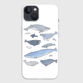 Чехол для iPhone 13 с принтом киты в Петрозаводске,  |  | ocean | orca | sea | sea animal | whale | графика | дельфин | иллюстрация | касатка | кит | море | океан | рисунок кита